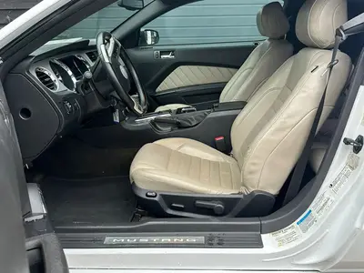 Mustang - Thumbnail 11