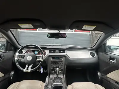 Mustang - Thumbnail 12