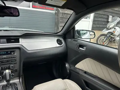 Mustang - Thumbnail 13