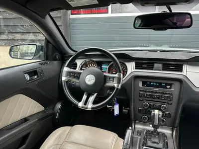 Mustang - Thumbnail 14