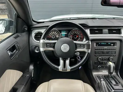 Mustang - Thumbnail 15