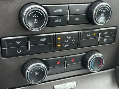 Mustang - Thumbnail 18