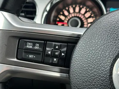 Mustang - Thumbnail 22