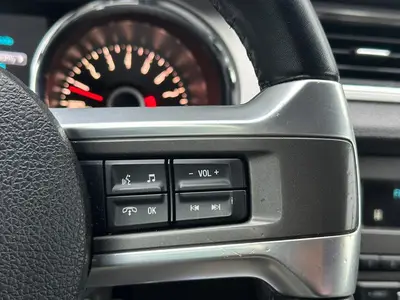 Mustang - Thumbnail 23