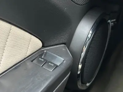 Mustang - Thumbnail 24