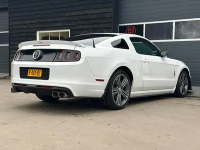 Mustang - Thumbnail 30
