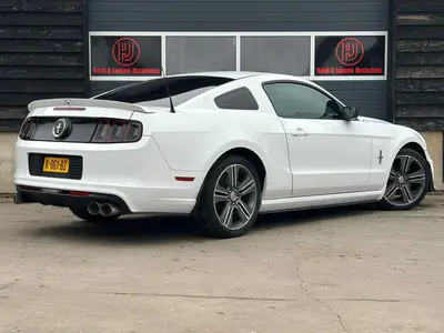 Mustang - Thumbnail 4