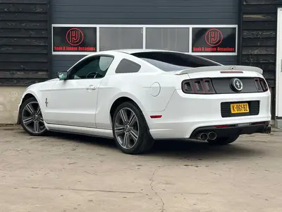 Mustang - Thumbnail 5