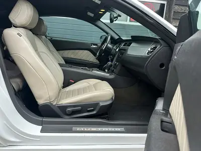 Mustang - Thumbnail 10