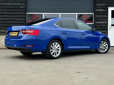 Superb - Thumbnail 4