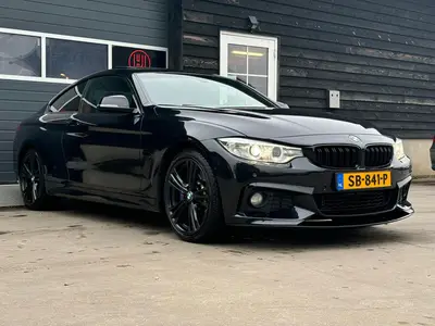 BMW 4 Serie - Thumbnail 28