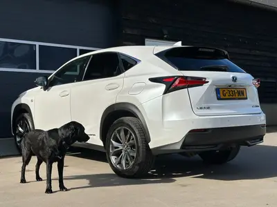 Lexus NX - Thumbnail 33