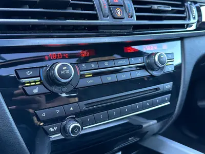 BMW X5 - Thumbnail 20