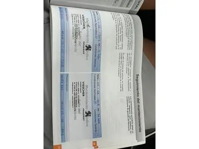 Peugeot 308 - Thumbnail 36