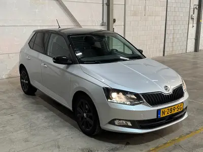 Fabia - Thumbnail 31