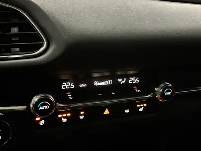 Mazda CX-30 - Thumbnail 20